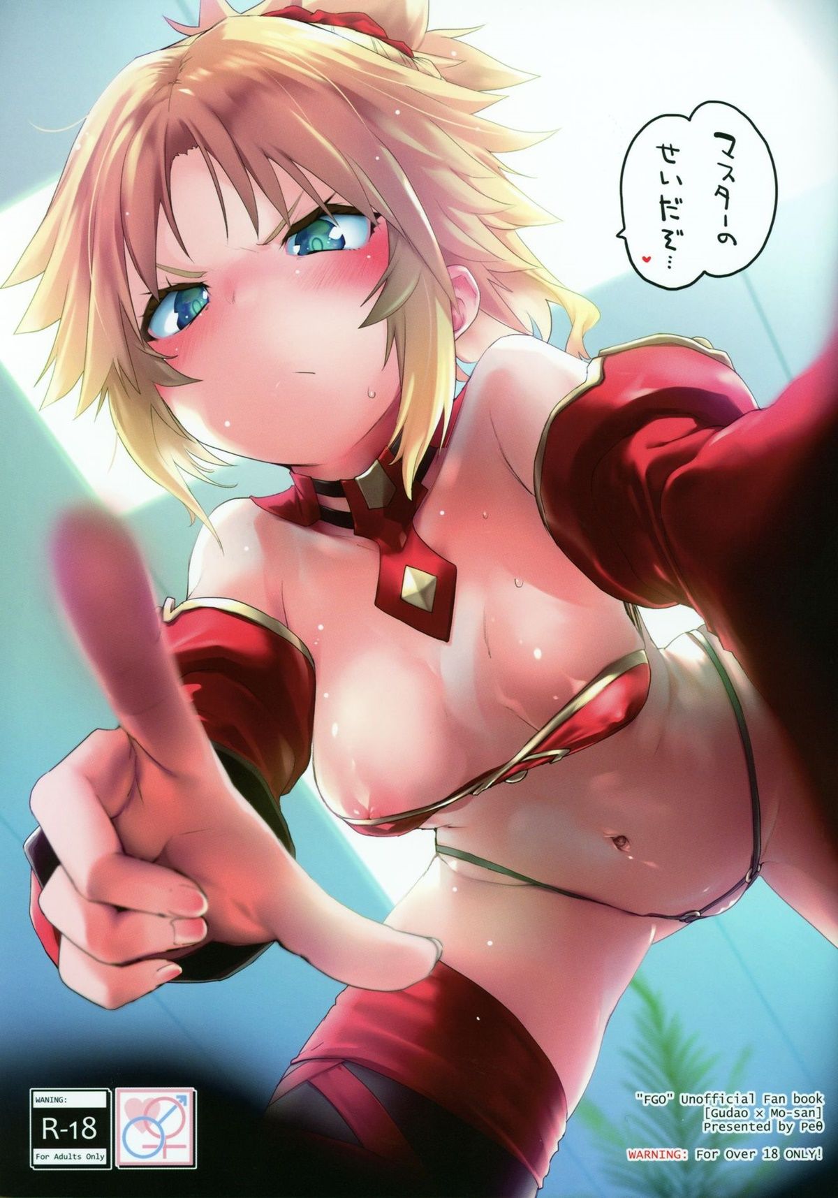 Capa de (C97) [Peθ (Mozu)] Isso é culpa sua, Mestre… (Fate/Grand Order)